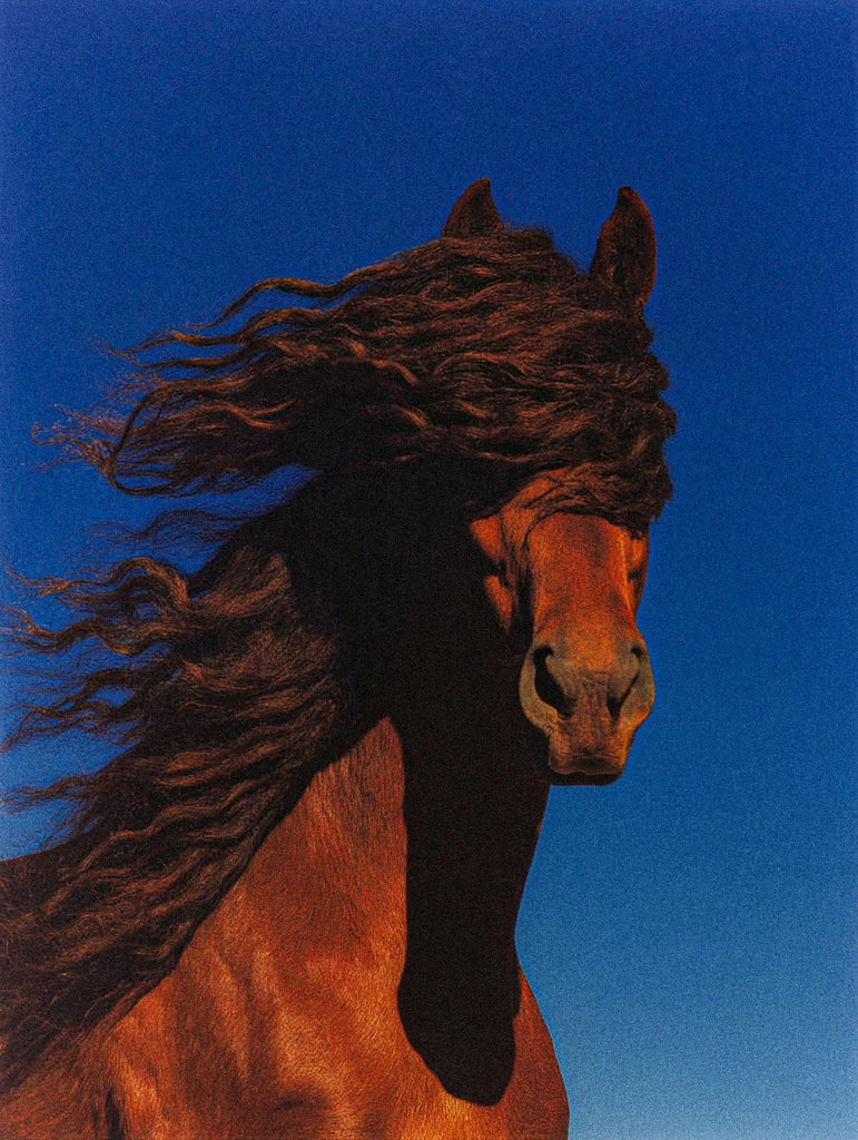 This Week, According To Rani...